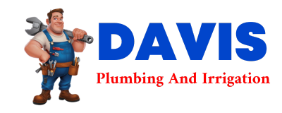 Trusted plumber in SIMS